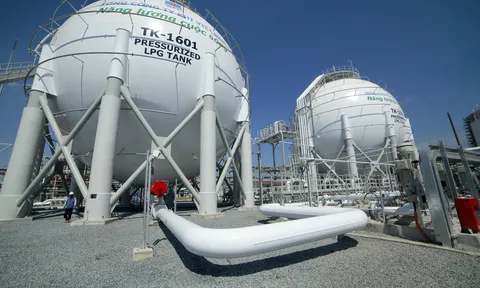 PV GAS bị xử phạt vì vi phạm loạt quy định công bố thông tin và không đủ thành viên HĐQT độc lập