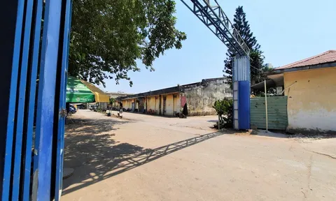 TP Hồ Chí Minh: Nhiều sai phạm tại khu đất hơn 12.000m2 tại quận Tân Bình