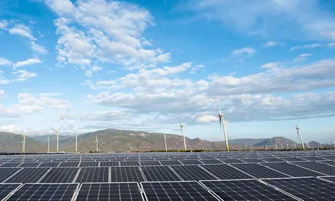 Dự án 450 MW của Trung Nam vi phạm xây dựng, vì sao vẫn được bán điện và doanh nghiệp vẫn ‘kêu’?