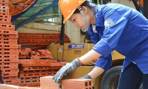 Người xây dựng lao đao: Thất nghiệp, giấu luôn bằng... kỹ sư
