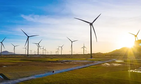 Loạt dự án điện gió chậm hòa lưới điện: Phơi nắng, chờ gỡ khó