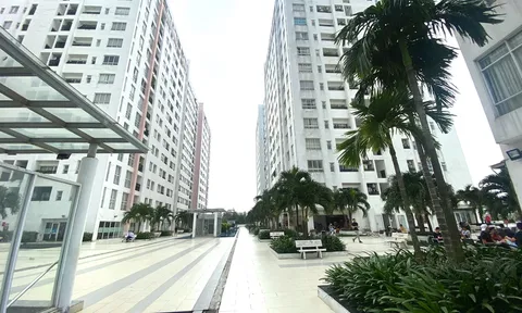 Hơn 81.000 căn nhà tại TP.HCM chưa được cấp “sổ hồng”