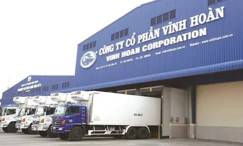 Vĩnh Hoàn (VHC): Lợi nhuận "bốc hơi" 60%, tạm lỗ sâu vì đầu tư cổ phiếu DXS, NLG, KBC