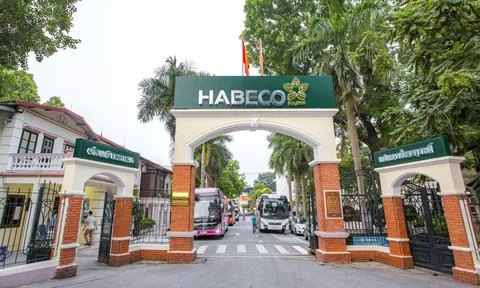 Habeco lần đầu báo lỗ sau 3 năm