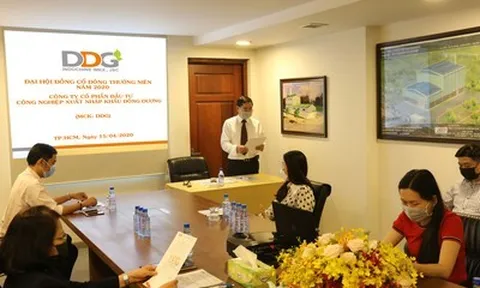 Xuất nhập khẩu Đông Dương (DDG) nói gì khi cổ phiếu "lau sàn" 17 phiên liên tiếp?