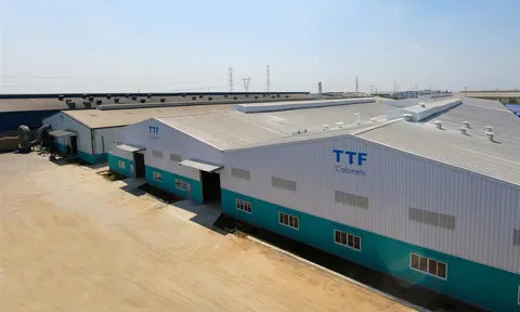 Dòng tiền từ hoạt động kinh doanh của Gỗ Trường Thành (TTF) âm trở lại, vẫn lỗ lũy kế hơn 3.000 tỷ đồng