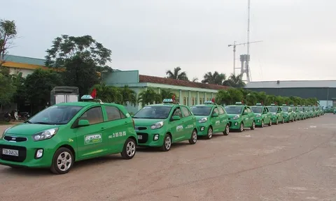 Chủ hãng taxi Mai Linh lãi sau thuế 1 tỷ đồng trong năm 2022, cắt mạch lỗ sau 4 năm