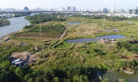 TP.HCM tạm dừng 7 hồ sơ chuyển mục đích sử dụng đất của DN nhà nước sau cổ phần hóa