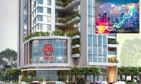 Cổ phiếu 'lạ': Tăng dựng đứng khi vừa chào sàn, giao dịch thất thường