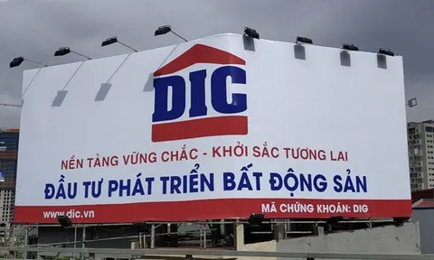 Him Lam chính thức không còn là cổ đông lớn tại DIG