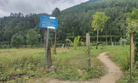 Đà Nẵng 'điểm danh' hàng loạt vụ chuyển đổi đất rừng thành khu sinh thái chui