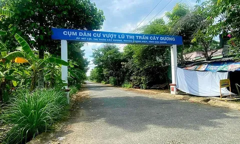 Sai phạm ở dự án cụm dân cư vượt lũ Cây Dương