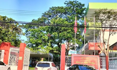 Sai phạm tại Dự án Trường THPT Ischool Ninh Thuận: UBND tỉnh yêu cầu làm rõ trách nhiệm