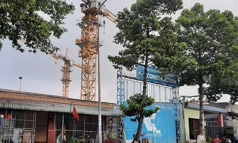 Dự án C-River View sai phạm nghiêm trọng, C-Holdings bị phạt hơn 600 triệu đồng