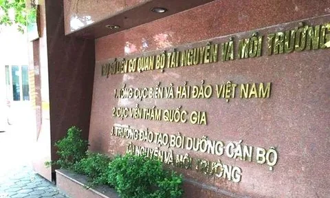 Bao nhiêu Tổng cục bị 'xóa' tên sau hơn chục năm tồn tại?