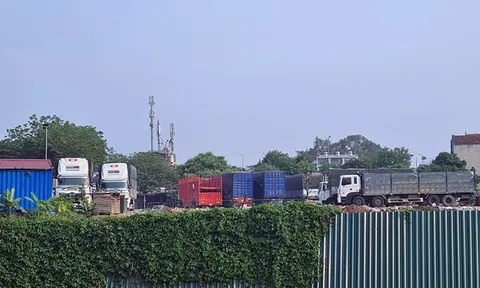 Hà Nội: Tân Á Đại Thành ôm 'đất vàng' bỏ hoang cả thập kỷ