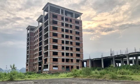 Dự án trường Đại học nghìn tỷ 'đắp chiếu' cả thập kỷ