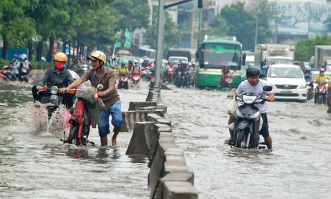 TP.HCM muốn đơn phương chấm dứt hợp đồng với doanh nghiệp - Bài 1: Của công ai xót?