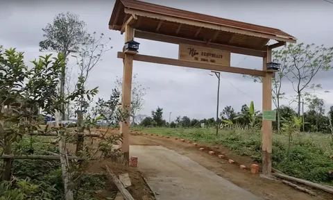 Tiếp bài 'Kiểm tra, làm rõ giá 'trên trời' Farmstay Nẫu Ecovalley': Yêu cầu dừng hoạt động kinh doanh chưa đủ điều kiện