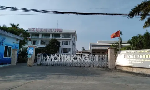 Hải Phòng: Dân bức xúc vì Công ty Việt Trường gây ô nhiễm