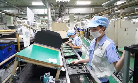 Hoàn thành gói hỗ trợ tiền thuê nhà trong tháng 8/2022