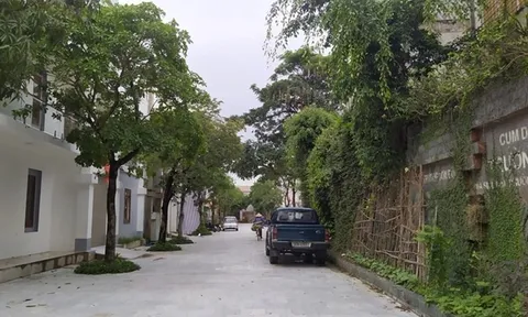 Dự án Cụm dân cư Trường Sơn tại TP Vinh (Nghệ An): Có sai phạm, chuyển cơ quan điều tra