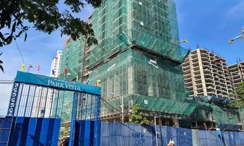 Ba 'đại gia' bất động sản tại TP. Hồ Chí Minh nợ thuế 1.100 tỷ đồng