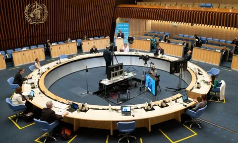 WHO kêu gọi họp khẩn về bệnh đậu mùa khỉ