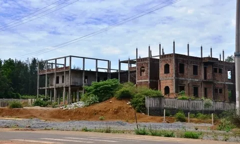 Nhiều dự án bỏ hoang trong Khu Kinh tế Dung Quất, Quảng Ngãi