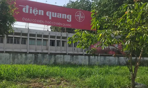 Bóng đèn Điện Quang rút kinh nghiệm vụ xả chất thải nguy hại: Khó chấp nhận!