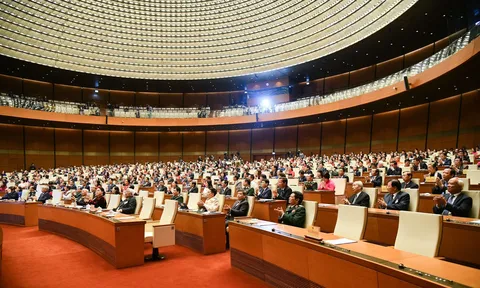 Năm 2021: Thanh tra các cấp kiến nghị thu hồi 17,8 nghìn tỷ đồng và 811 ha đất