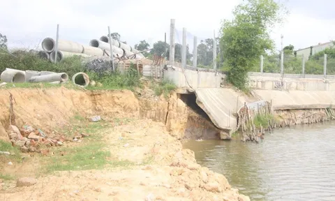 Công ty TNHH Thái Bình (Quảng Nam): Ngang nhiên lấn hơn 8.000 m2 đất