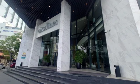 Nhiều khách sạn, trụ sở công ty 'mọc' trái quy hoạch trên đất quốc phòng ở Khánh Hòa