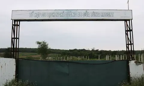 Biết gì về Tập đoàn AE có dự án khu đô thị sinh thái biển treo nhiều năm?