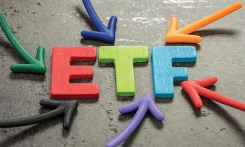 16 ETF báo lỗ tại Việt Nam, có quỹ ngoại hiệu suất âm gấp 2 lần mức giảm VN-Index