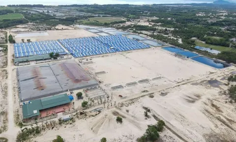 Nhiều sai phạm tại các dự án nuôi tôm công nghệ cao ở Hà Tĩnh