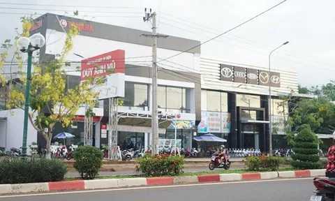 Phóng viên báo Thanh Niên bị hành hung khi tác nghiệp tại dự án sai phạm