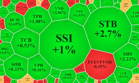 Rung lắc nhẹ, cổ phiếu dầu khí, chứng khoán bùng nổ