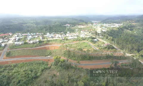 Kon Tum: Bí thư, Chủ tịch huyện Kon Plông bị kiểm điểm do để xảy ra nhiều sai phạm