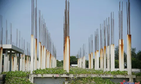 Dự án nằm trên 'đất vàng' Quảng Nam cỏ cây, dây leo bủa vây