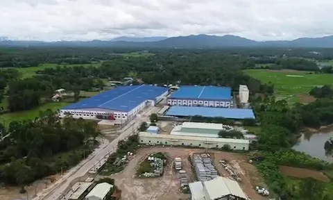 Công ty TNHH Thái Bình chiếm hơn 8.000 m2 đất tại Cụm công nghiệp Tam Đàn