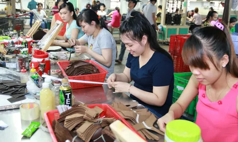 Ồ ạt rút BHXH một lần: Giảm tuổi nghỉ hưu sẽ giải quyết cơ bản mọi vấn đề