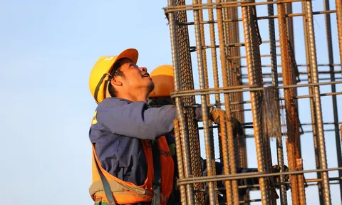 FECON liên tiếp trúng nhiều gói thầu với tổng giá trị 420 tỷ đồng