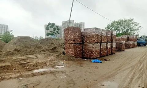 Dự án nghìn tỷ tại Hoài Đức (Hà Nội): Chậm tiến độ, ô nhiễm môi trường