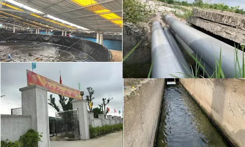 Hà Tĩnh: Phát hiện nhiều sai phạm tại dự án nuôi tôm công nghệ cao
