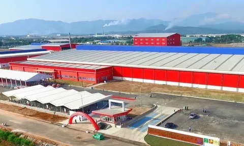 Quảng Nam: Công ty TNHH Number One Chu Lai bị xử phạt 130 triệu đồng