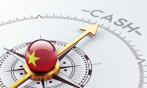 Xu thế dòng tiền: Thị trường bấp bênh, vẫn nhiều cơ hội hấp dẫn