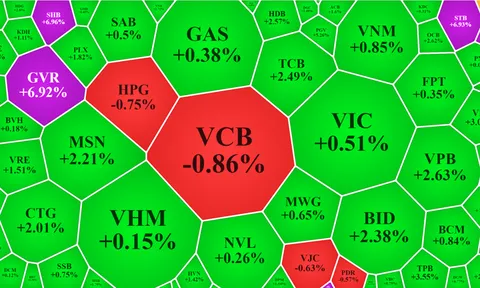 Cổ phiếu blue-chips 'nhấc' VN-Index vượt 1.300 điểm, tiền vẫn dè dặt?