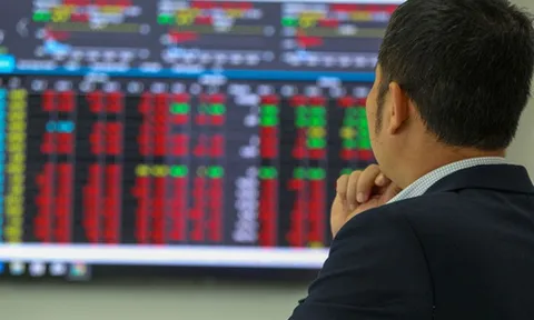 Sai phạm trên thị trường chứng khoán, ai chịu trách nhiệm?