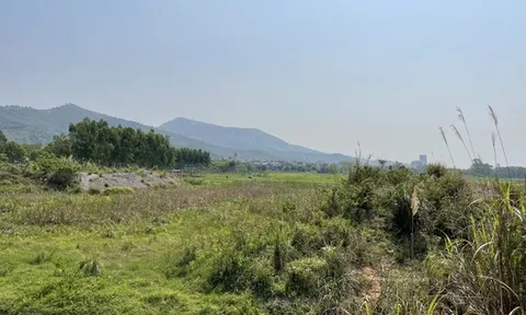 Quảng Ninh: Vì sao dự án Khu đô thị mới Chạp Khê bị thanh tra?